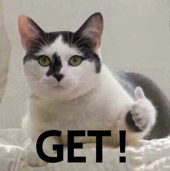 如何判断猫是饿还是饱,怎么判断猫对你有感情