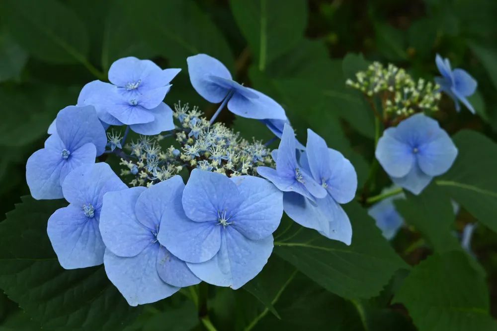 尼康zdx16-50镜头适合拍什么,尼康zdx16-50