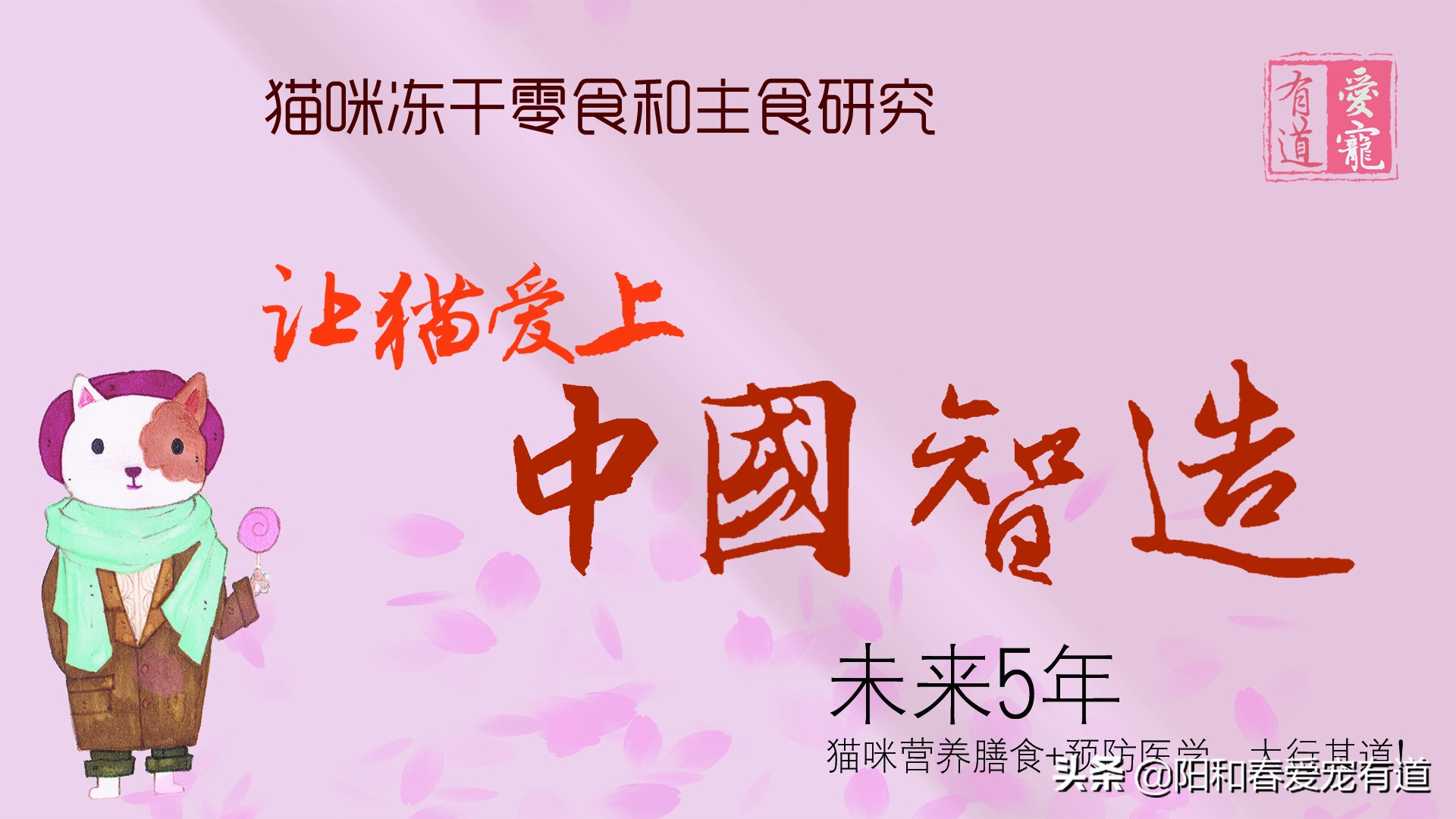 爱猫老奴说：如何选择选择猫咪冻干零食和全价猫粮