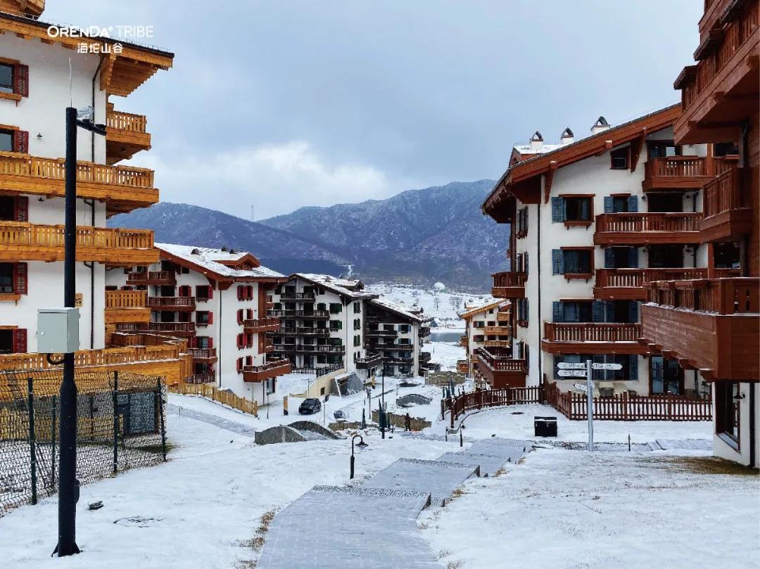 回望2020海坨耕耘路,以待2021山谷新美好