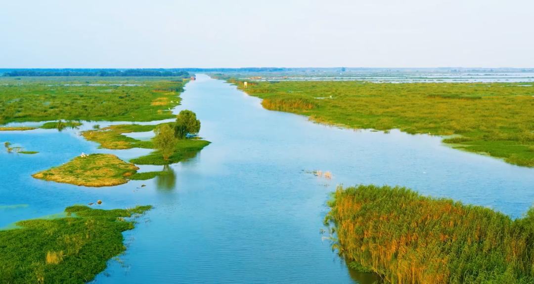 苏酒有几款是真的吗,苏酒怎么样好喝
