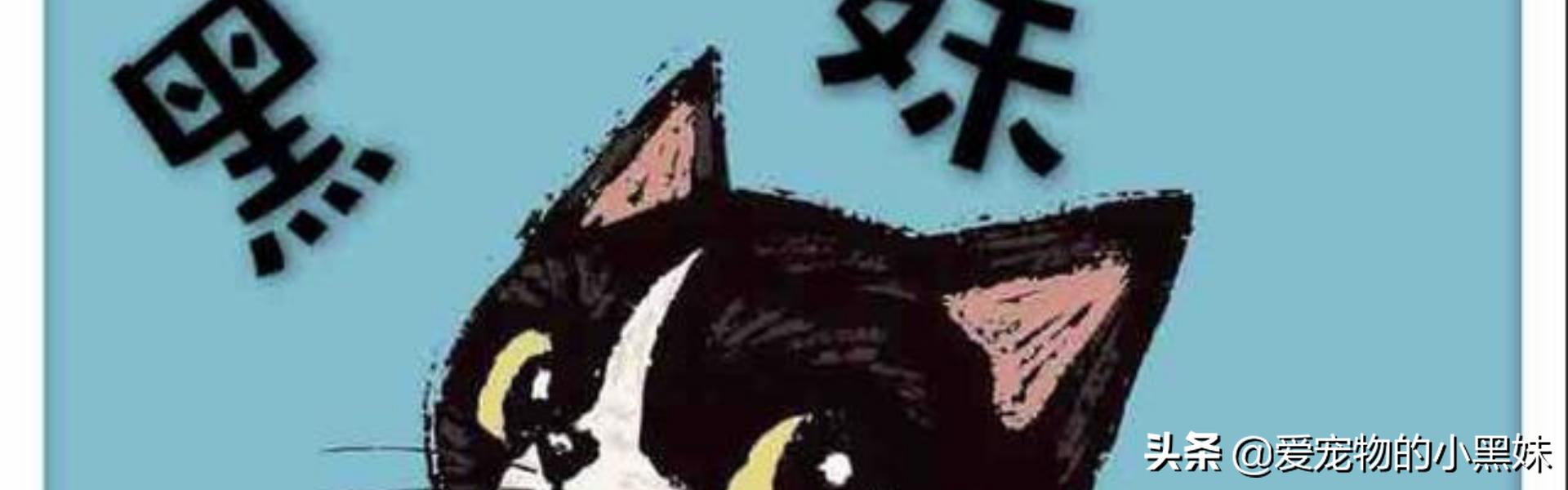 油漆味道会让猫中毒吗,油漆气味对猫咪有危害吗