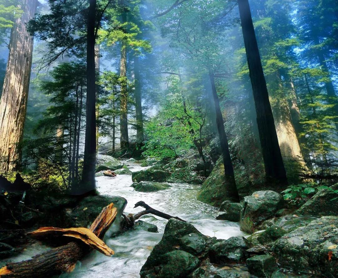 全国林草生物多样性保护成就展,林业生物多样性保护