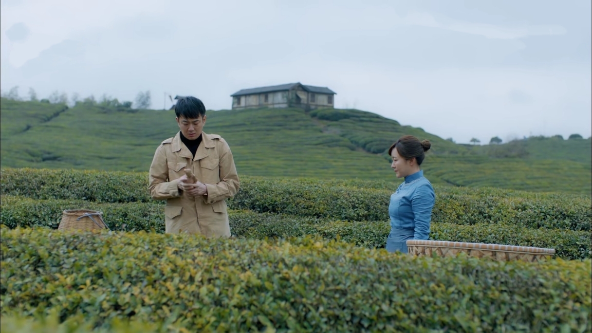 温暖的味道大结局何时插播,温暖的味道刘海棠是李建安老婆吗