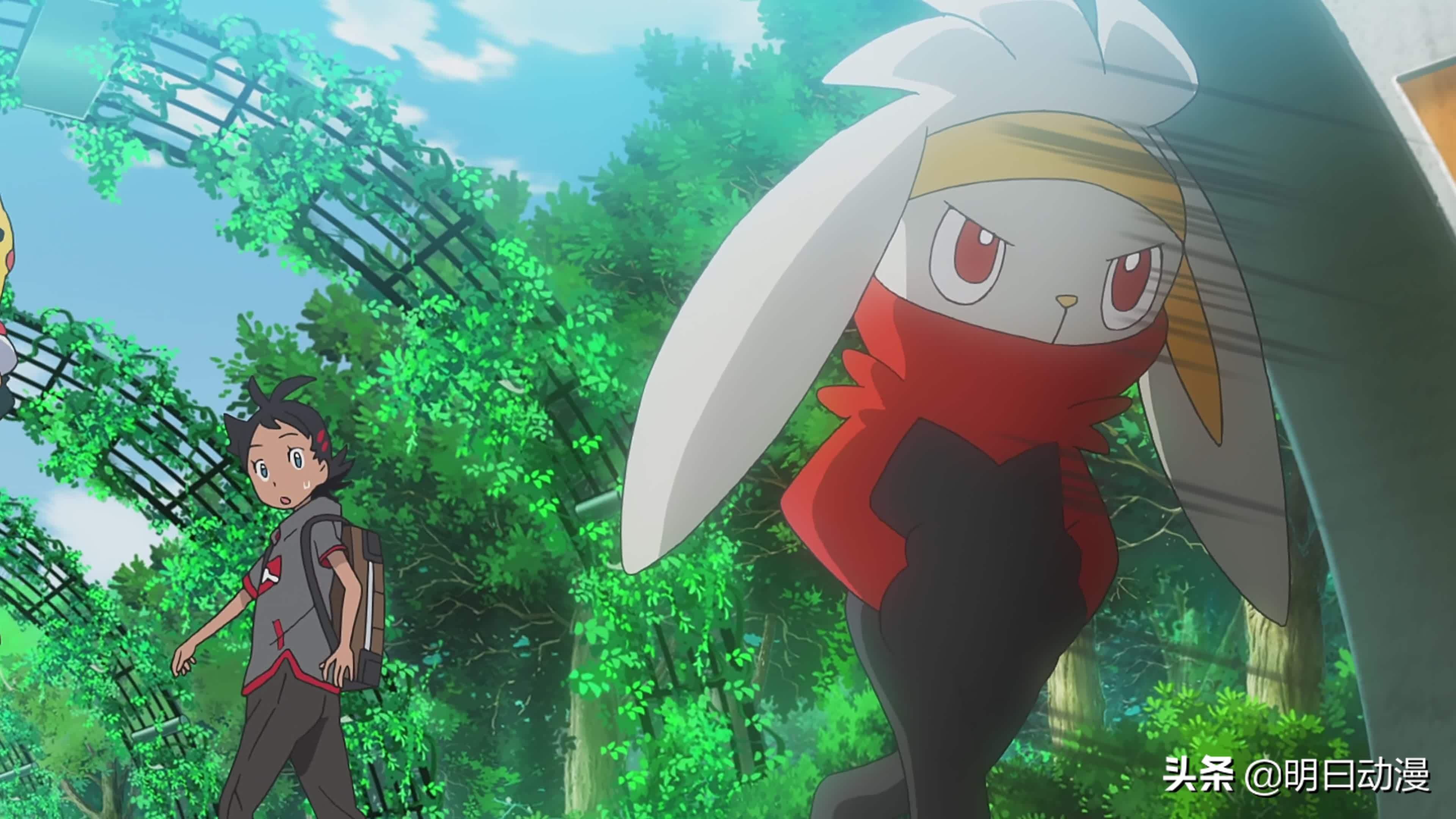 小智教小精灵技能,小智训练喷火龙