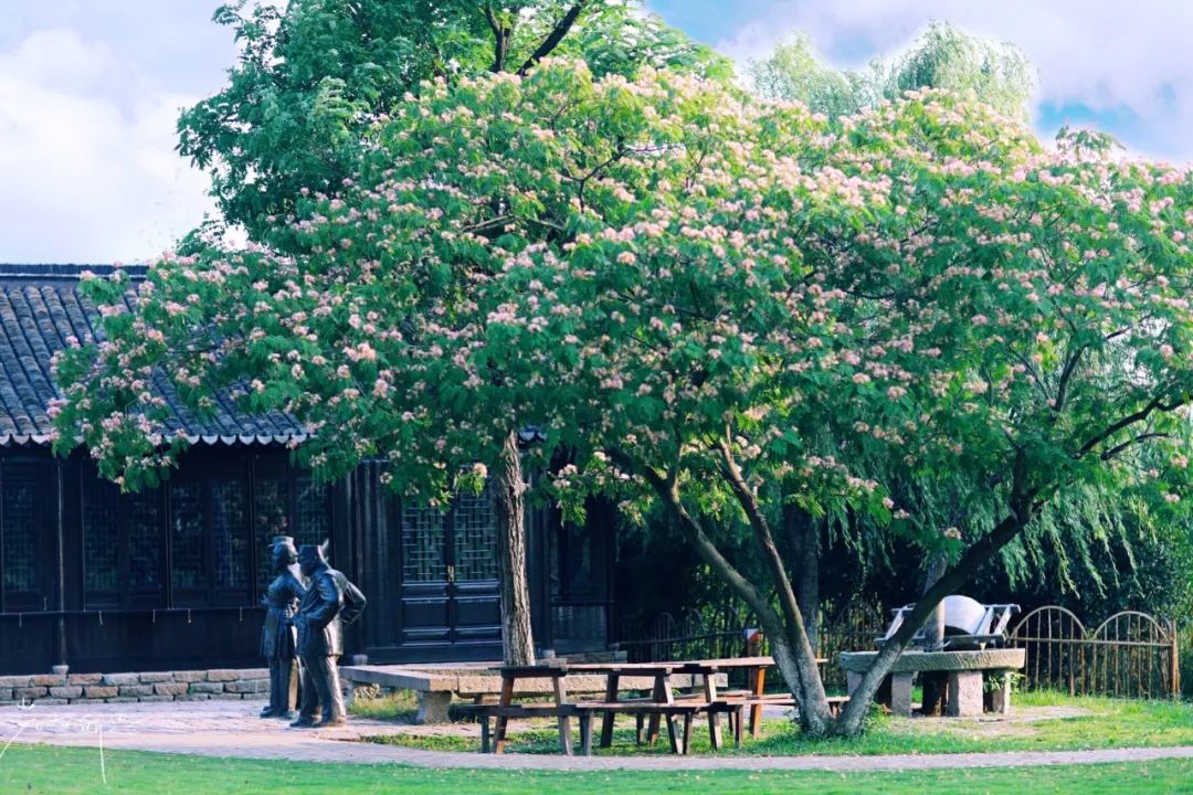 娌欏娴滅殑绱壊鑺辨捣,娌欏娴滈鏅尯鑺辨捣