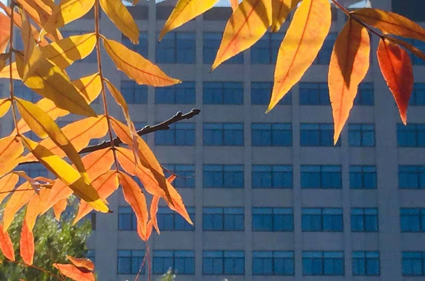 民办代课老师找工作条件,代课老师招聘最新信息