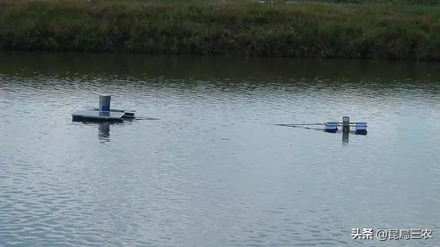 水塘消毒怎么做,水塘消毒剂