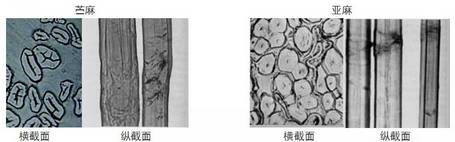 天丝棉和真丝的区别,天丝棉麻与棉料棉麻区别