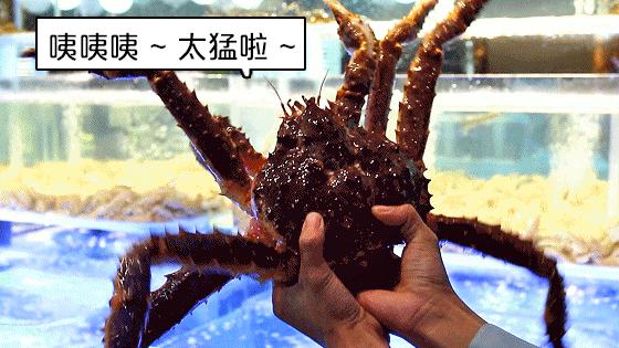 厦门90海里蒸汽海鲜自助,厦门岛内蒸汽海鲜自助