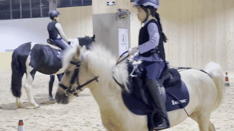 徐州英骐国际马术,徐州英琪国际马术中心