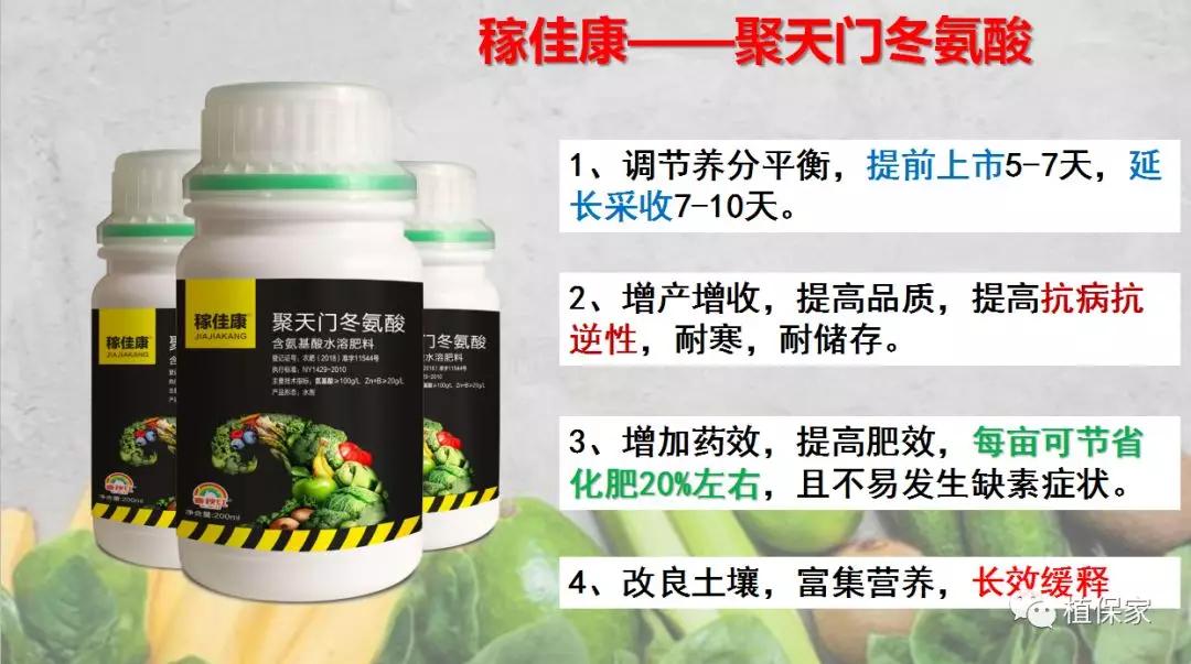 含聚天门冬氨酸水溶肥,精氨酸氨基酸肥料