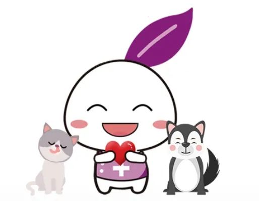 ​猫咪“甜蜜的负担”，当患有糖尿病时，应如何治疗？