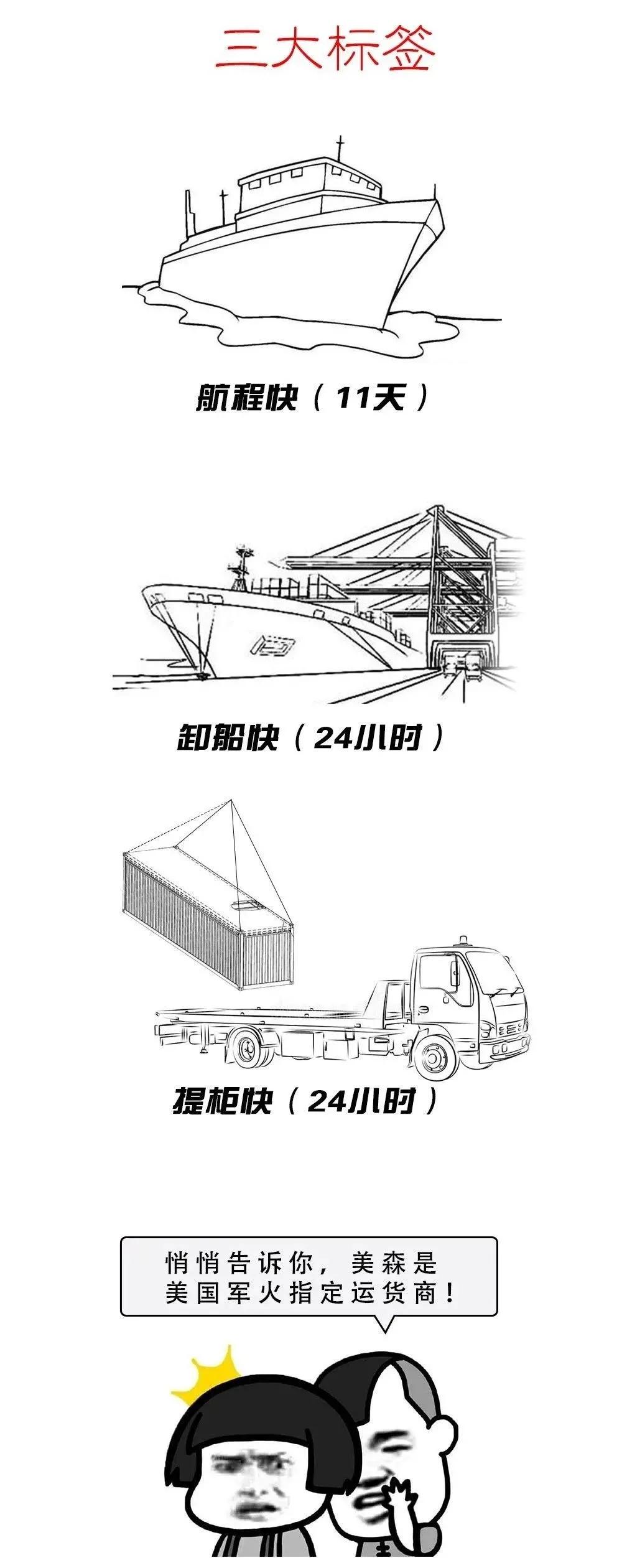 术业有专攻成功的感悟,术业有专攻效果出奇迹