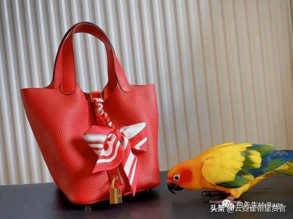 非常好看的宠物包,大家的包都带什么玩偶