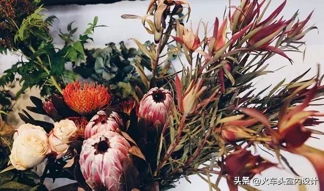 她放弃了总监职位后续,她辞去总监回家扶贫全集