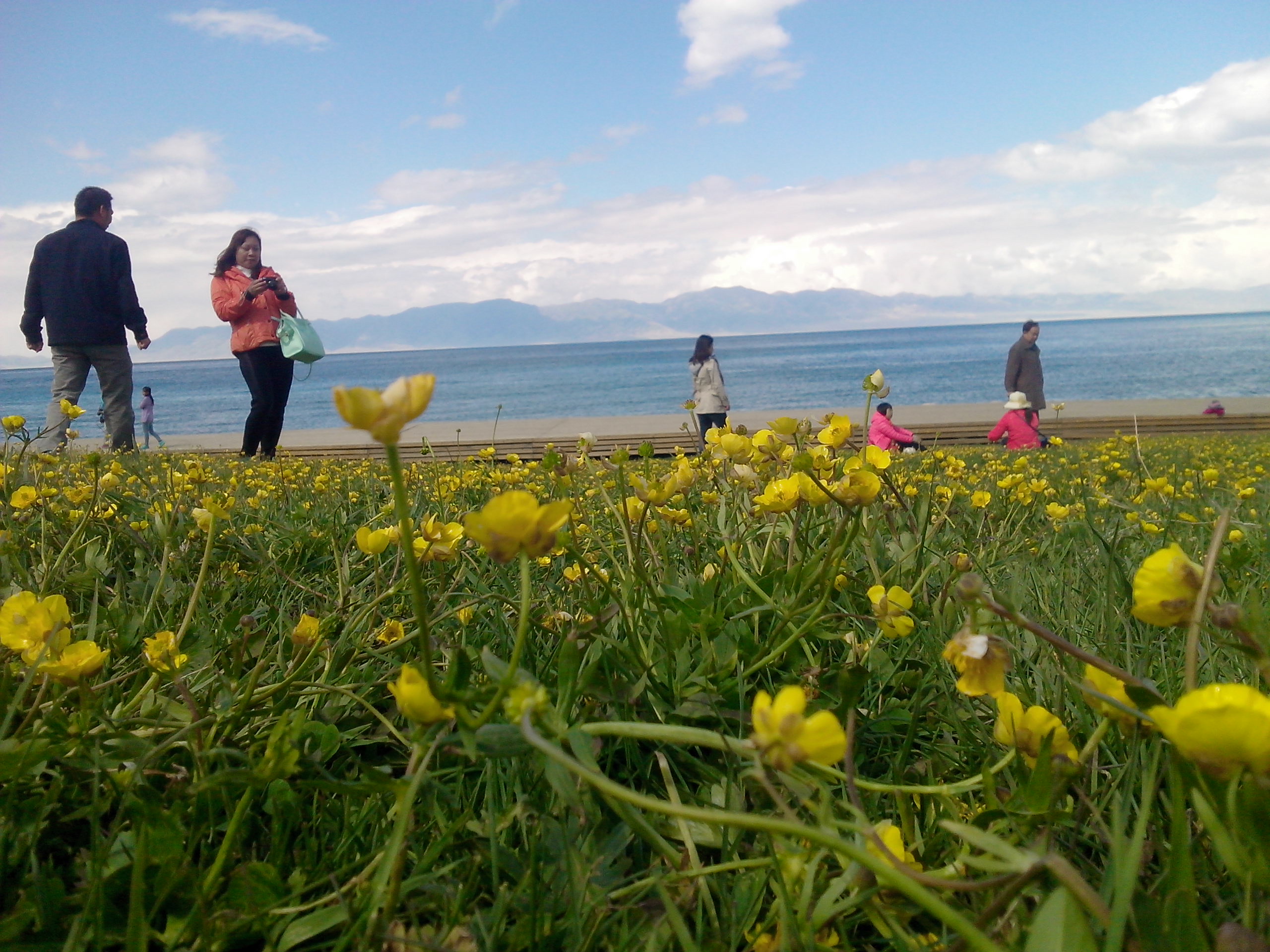 2020年*疆新**旅游翼卡通那里购买？*疆新**旅游年卡价格旅游翼多少钱？