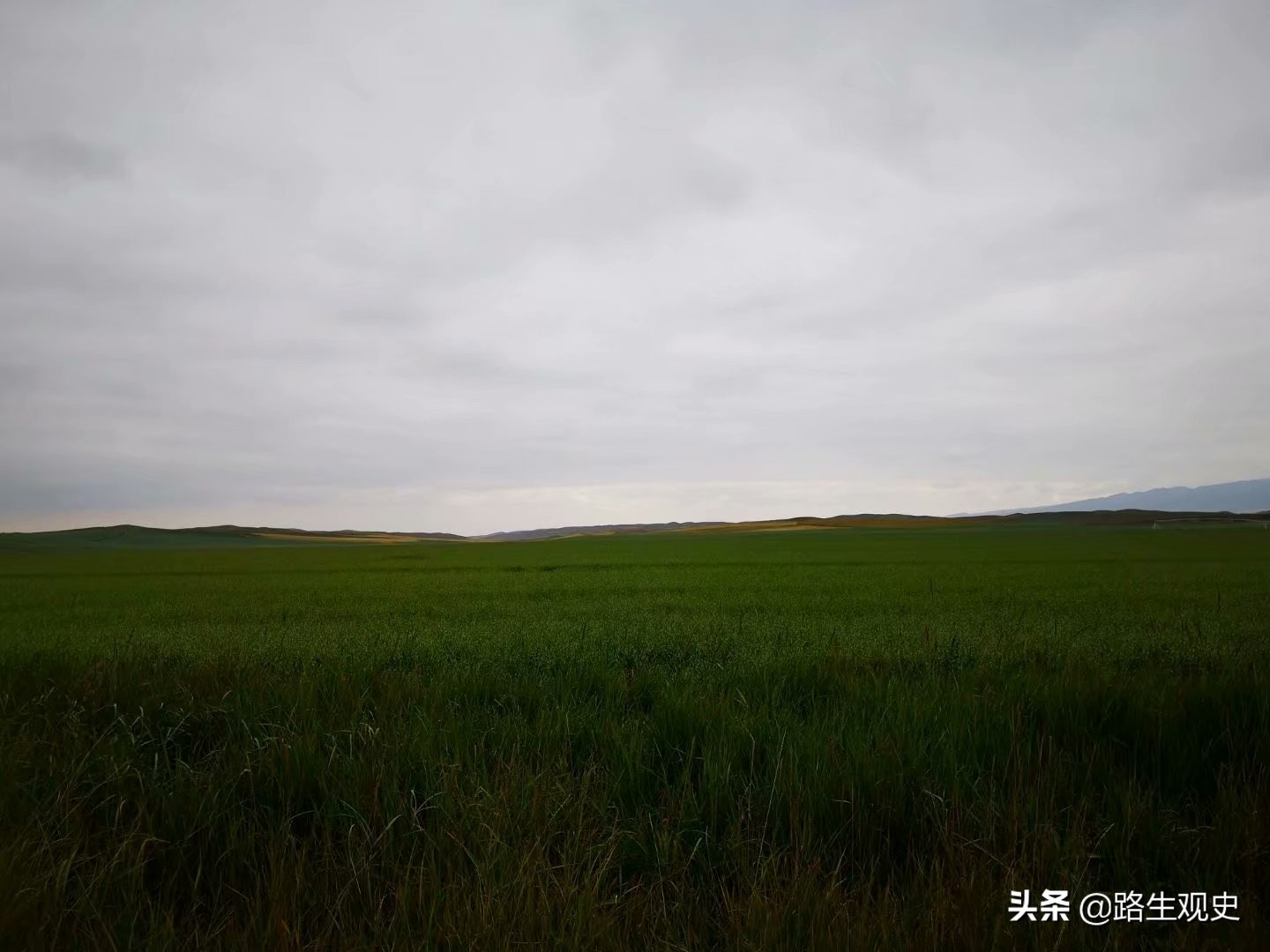 山丹军马场历史,山丹军马场的历史