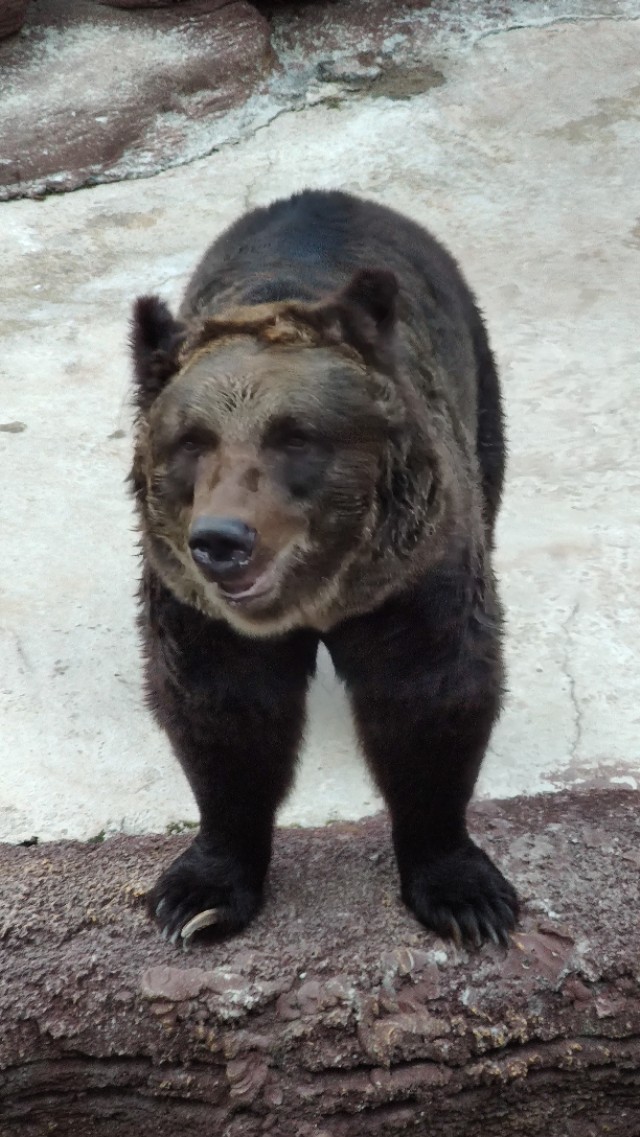 福州欧乐堡海洋世界家庭套票团购,福州欧乐堡海洋世界门票价格