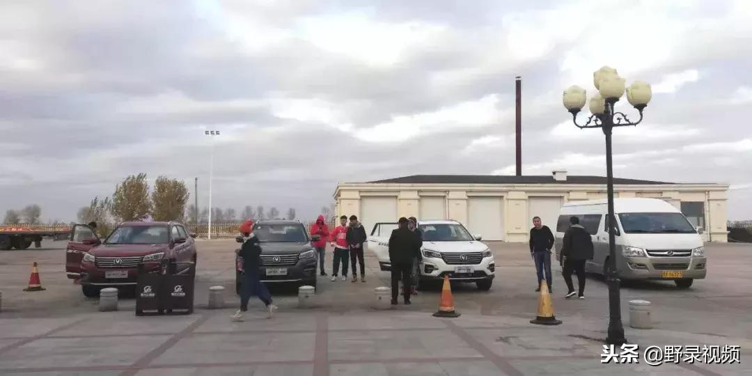 敖鲁古雅原始部落驯鹿喂草,敖鲁古雅驯鹿旅行