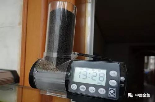 原来这么好用的养鱼装备,制作懒人养鱼必备神器