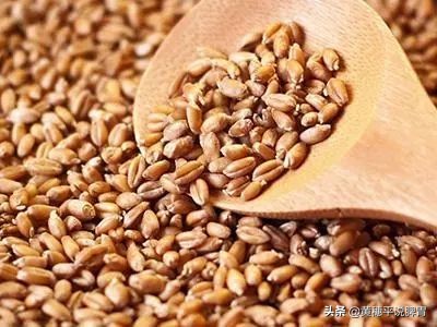 吃出来的健康原则,吃出来的健康养生好方法