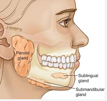 录书的时候怎样避免口水音,有声书录制怎样避免口水音