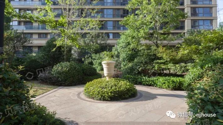 大写的赞!江宁这个小区,又有美照传出