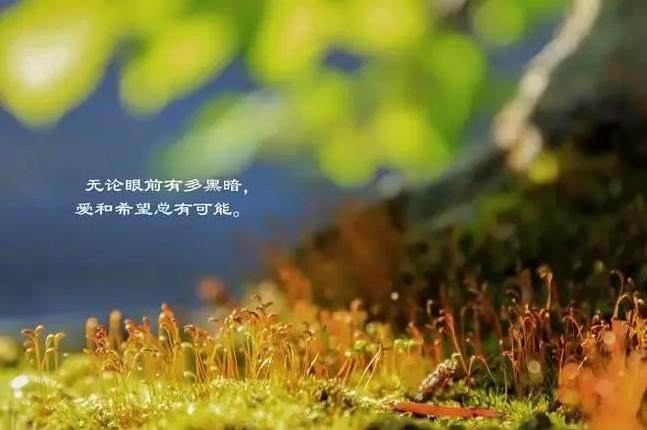 怎么做才可以真正的改运,逆天改运已改运怎么办