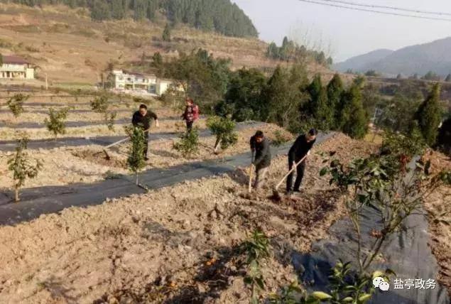 沃野千里风景图,山乡巨变之美不胜收