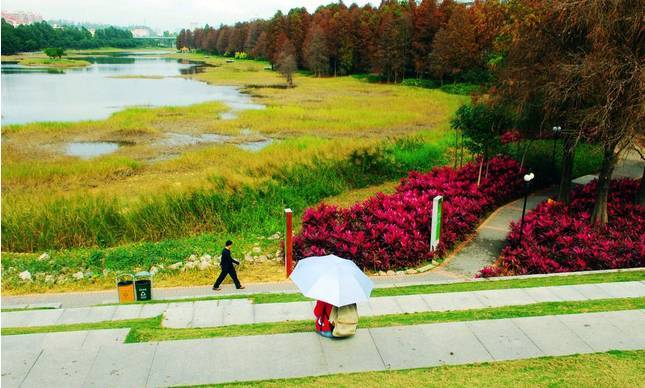 菏泽将迎来新一轮开发,未来菏泽最有升值潜力的区域