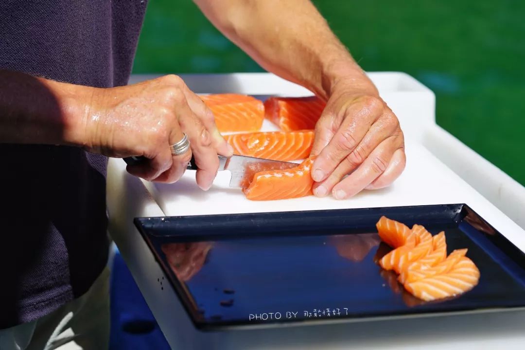 去哪里旅游可以看南极企鹅,旅游攻略南极看企鹅