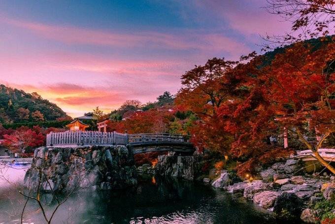 和大家一样去了大阪,但我不想随波逐流