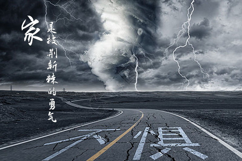 此心安处是吾家免费观看,此心安处是吾家是什么意思