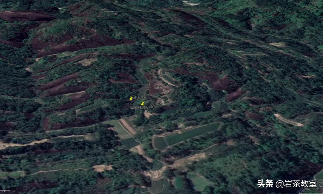 武夷山岩茶正岩山场详细介绍,岩茶玩家牛栏坑肉桂