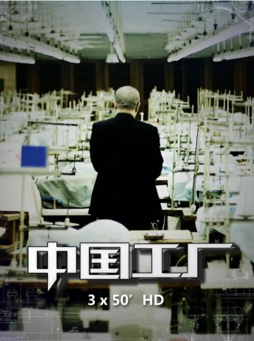 磨丁经济特区入驻企业,磨丁产业