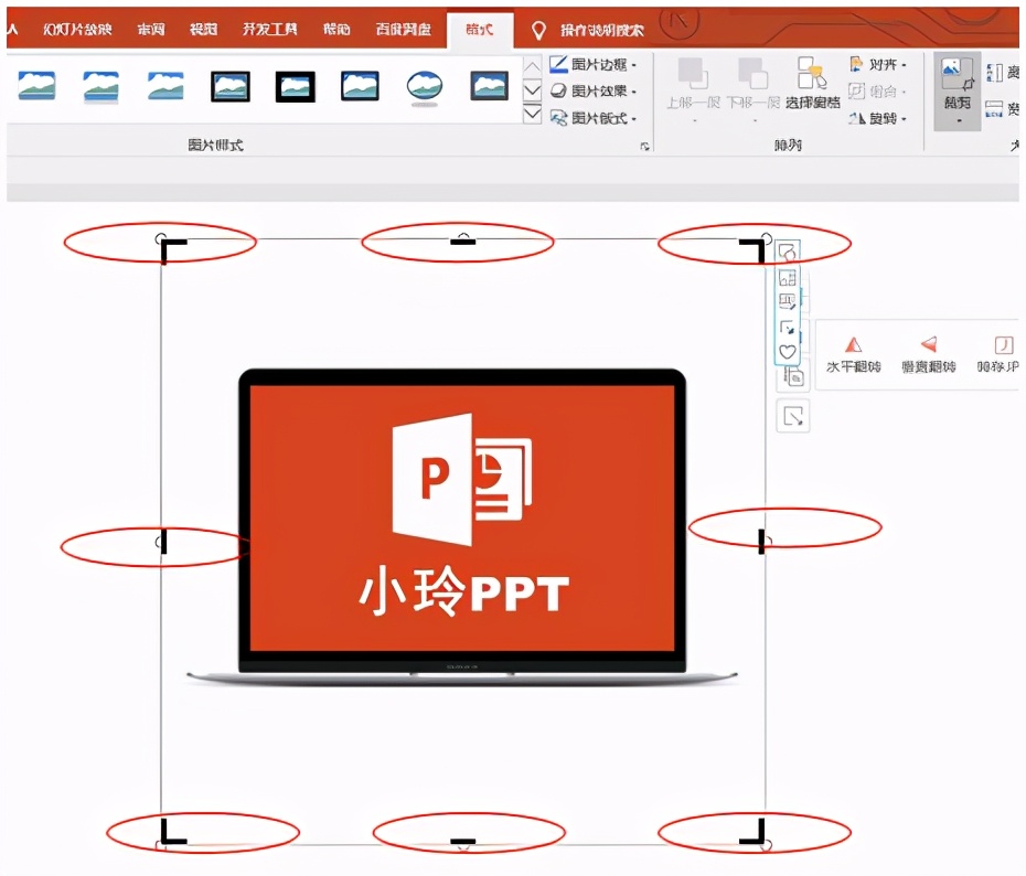 基础裁剪ppt,基础的ppt排版教学