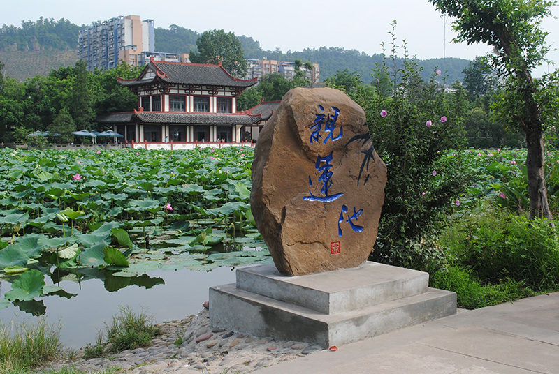四川旅游踩坑的地方,贵州旅游踩坑