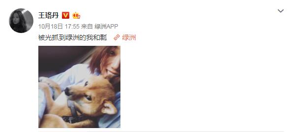 王珞丹减肥计划表,王珞丹有多瘦啊