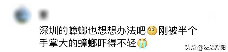 灭蟑螂最好的方法一招解决,蟑螂怎么灭杀最好方法