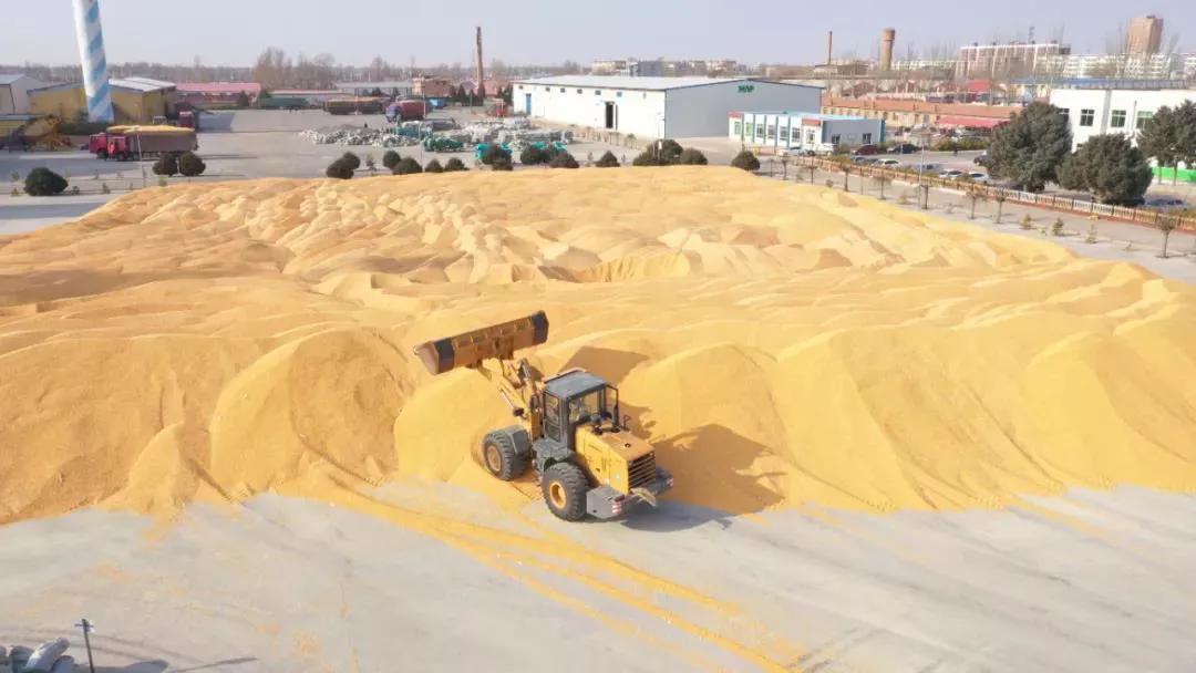 “内蒙古粮仓”通辽市：粮食增产又增收