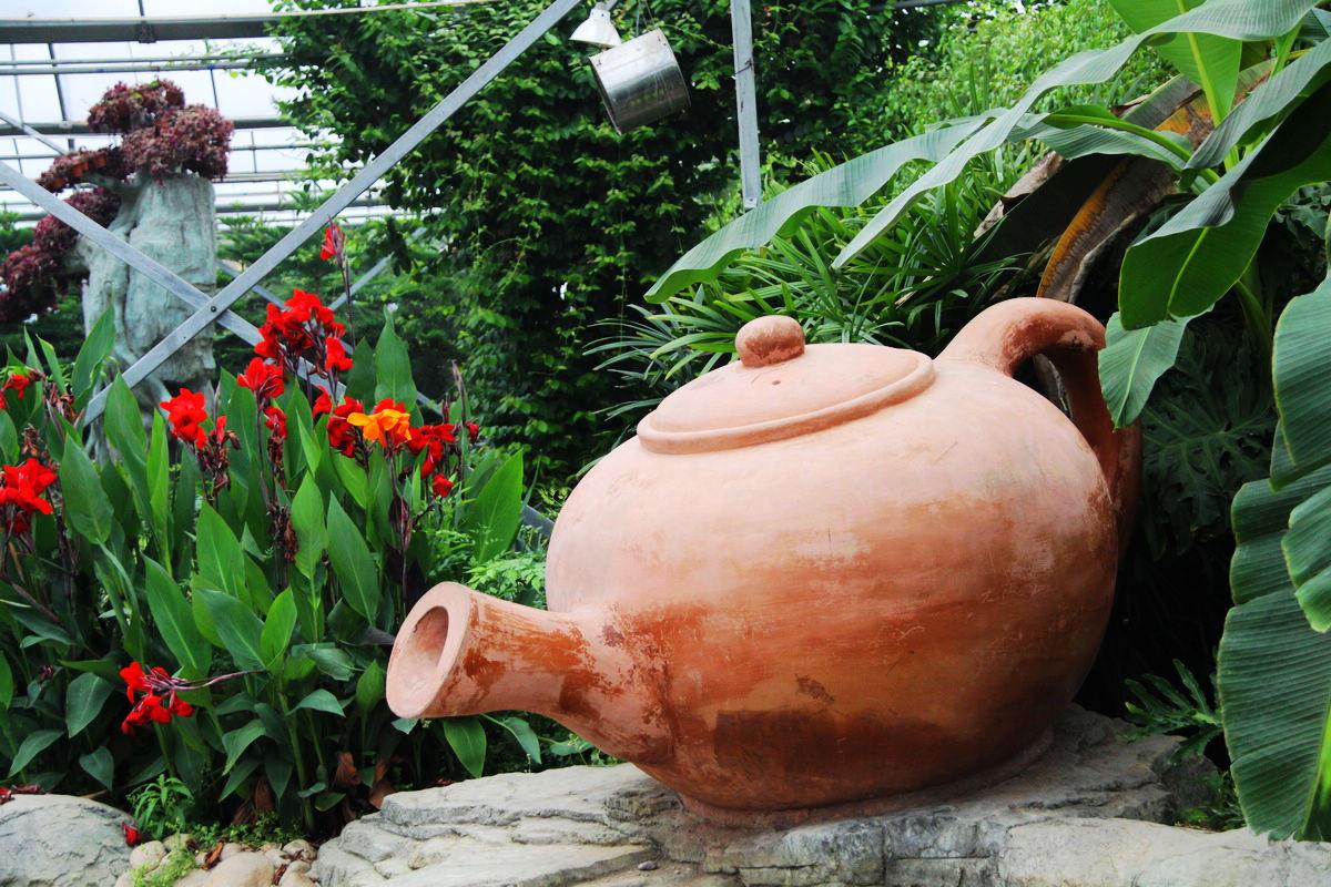 合肥旅游攻略带孩子三日游,合肥旅游攻略二日游住宿