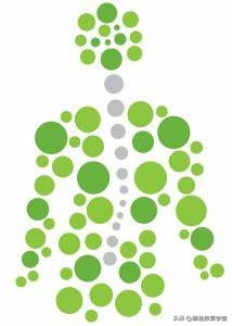 最常见的脊柱侧弯,这样运动治疗,效果明显