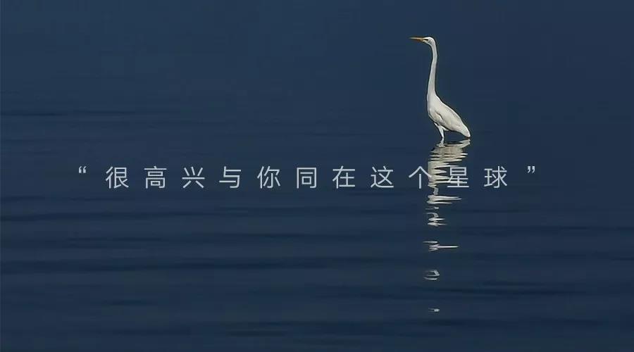 华为p30的镜头模组叫什么,华为p30镜头是蓝宝石的吗