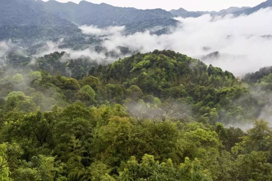 南昆山适合拍照的地方,南昆山最美景点