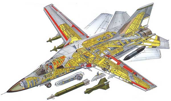 f14雄猫最帅飞行员,f-14雄猫战斗机的魅力无人能敌