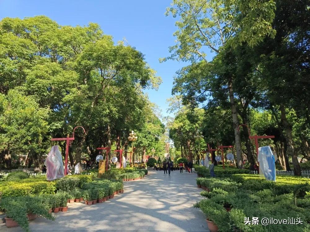 第三十四届菊花展,汕头菊展时间表