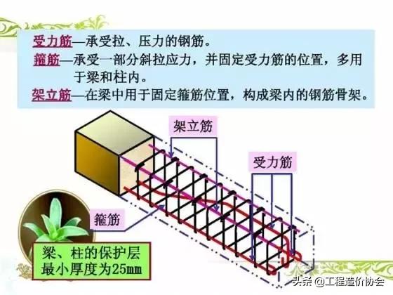 干工程看不懂配筋图,做工程看不懂图纸