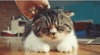 睡梦里身体忽然抖一下是怎么回事,睡梦中突然抖动抽搐一下惊醒