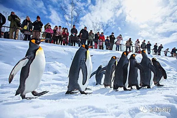 日本北海道旅游攻略4日游多少钱,日本北海道必逛